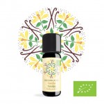 Vaniglia - estratto - bio - 10ml