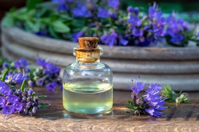 Issopo (Hyssopus officinalis): proprietà, benefici per respiro e digestione