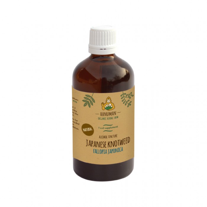 Poligono del Giappone tintura madre - bio - 100ml