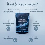 Creatina monoidrato in polvere - 500g