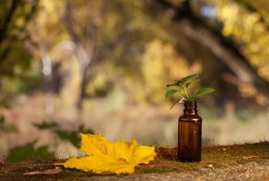 come potenziare il detox autunnale