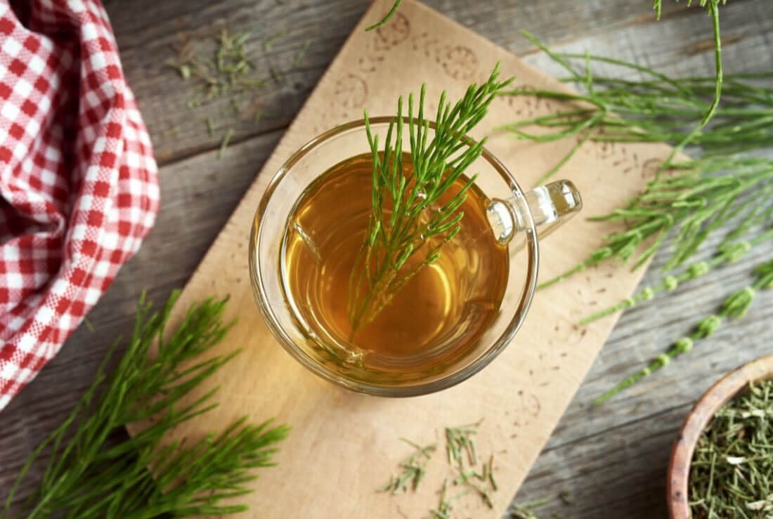 equiseto proprietà rimedi naturali salute reni