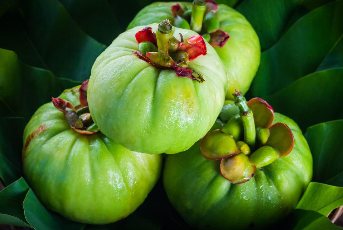 garcinia cambogia superfood dimagrimento perdita peso