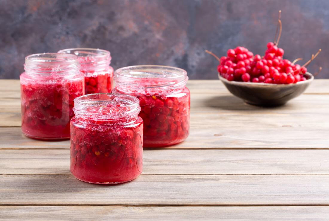 schisandra chinensis di alta qualità