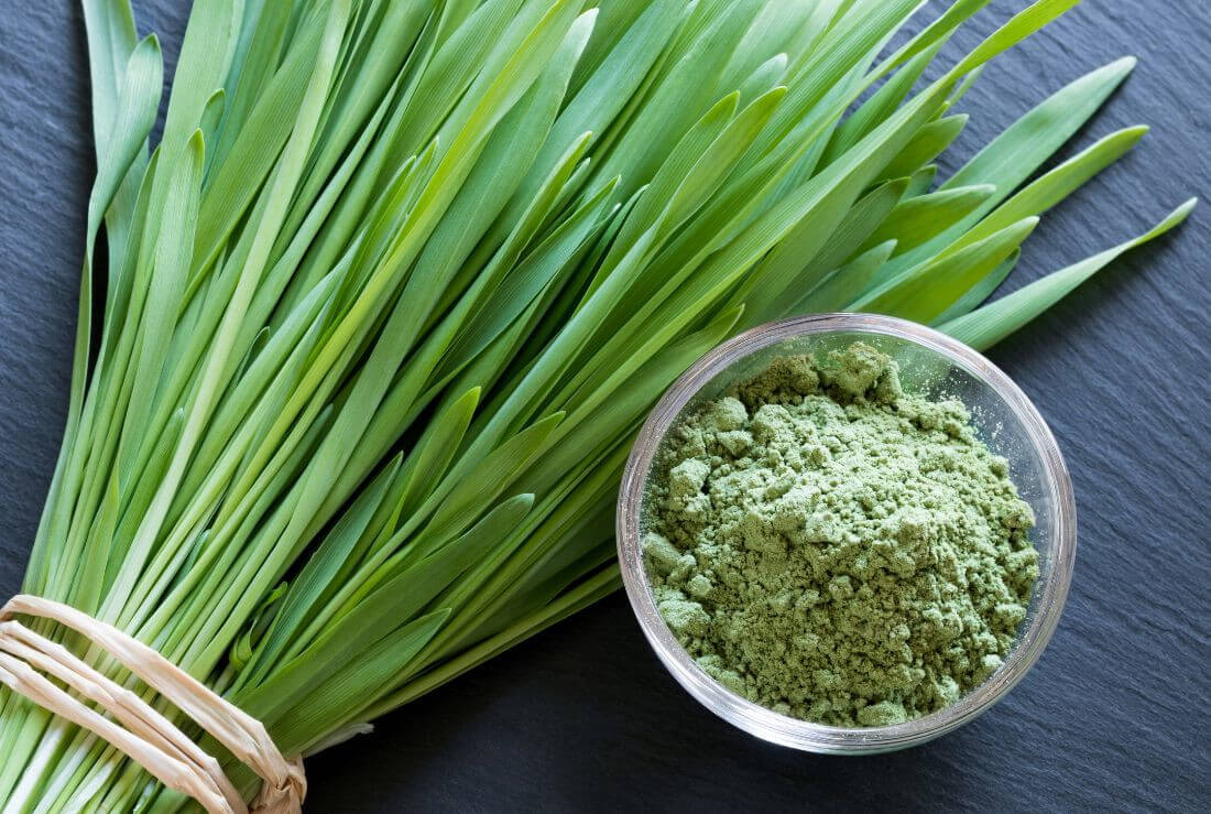 succo erba orzo proprietà green magma pelle luminosa