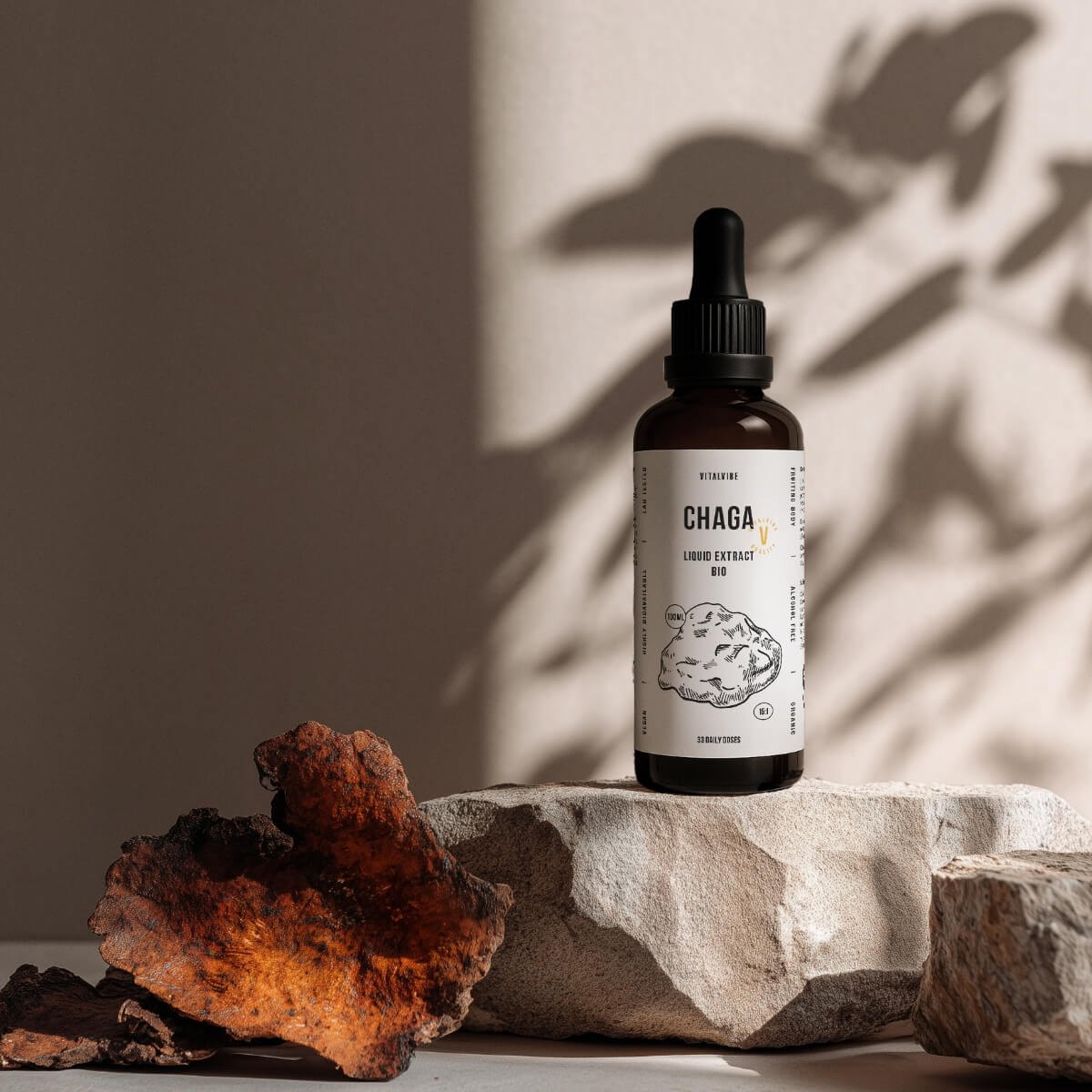 chaga estratto liquido biologico senza alcol