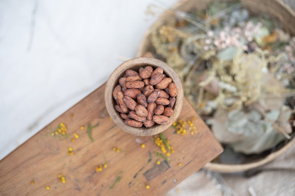 fave di cacao criollo biologiche crude